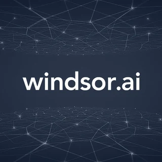 Windsor.ai partner